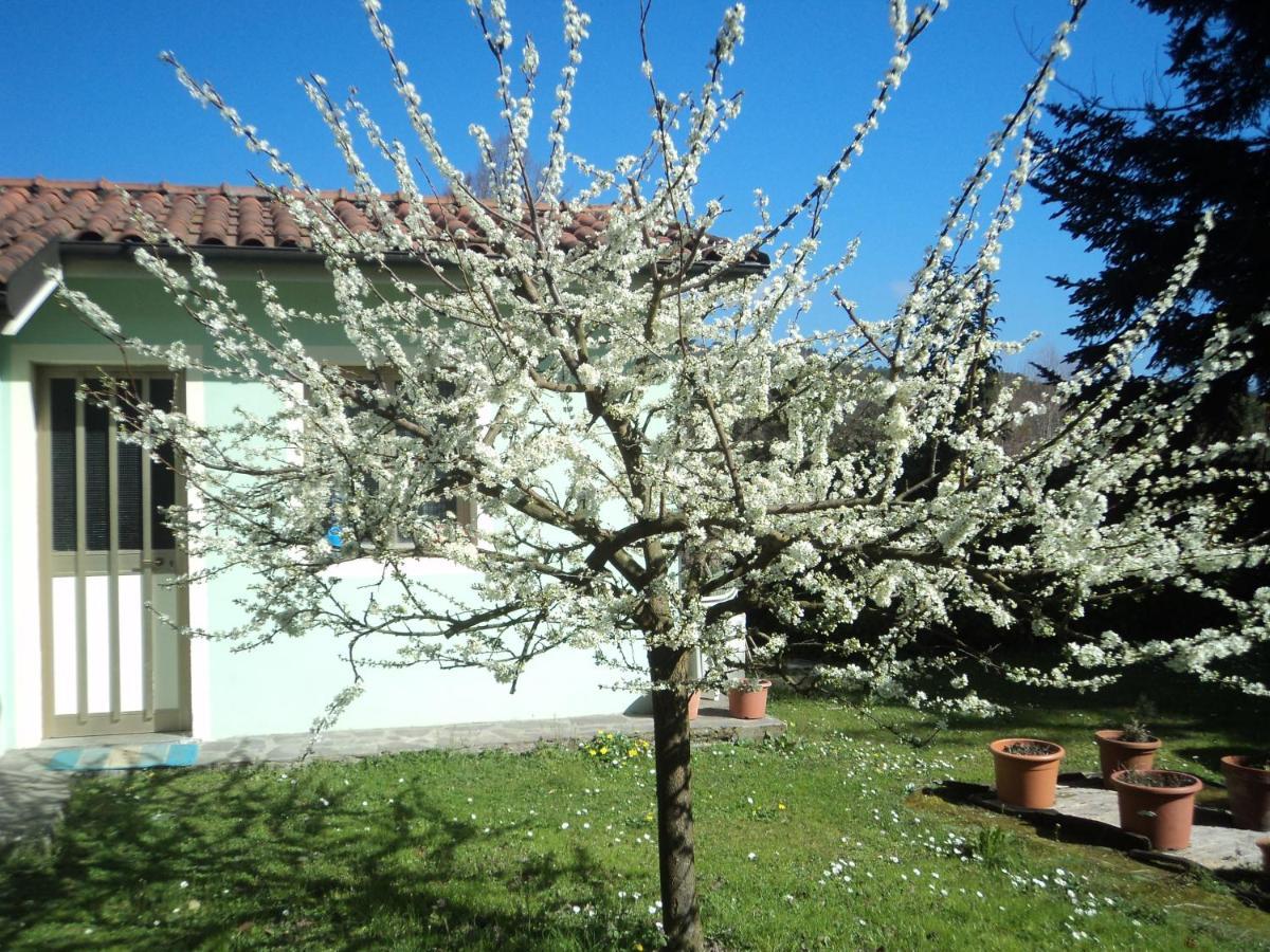Casa Le Sorelline Casa de hóspedes San Macario In Piano Exterior foto